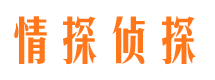 民丰外遇调查取证